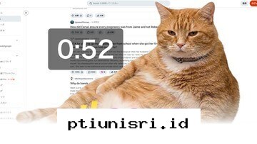 Berhenti Scrolling Berlebihan Berkat Kehadiran Kucing Oren yang Menggemaskan!