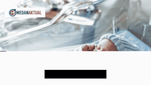 Panduan Lengkap Jadwal KRL Jakarta Kota ke Bogor Tahun 2026 dan Tips Perjalanan Anti Ribet!