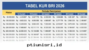 Ingin Pinjam Rp50 Juta di KUR BRI 2026? Intip Simulasi Cicilan Ringannya di Sini!