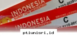Panduan Mudah Mendapatkan Saldo DANA Gratis Langsung Cair bagi Pemula