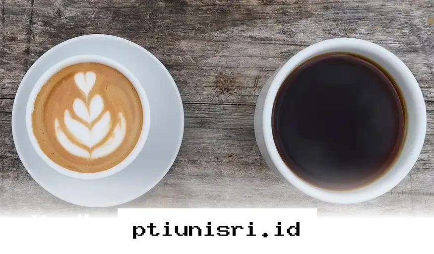 Pilihan Biji Kopi Favorit yang Wajib Dicoba Para Penikmat Kafein